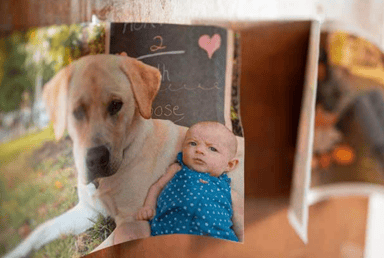 Sienna and Wesley Journey 3