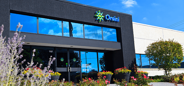 About Orsini